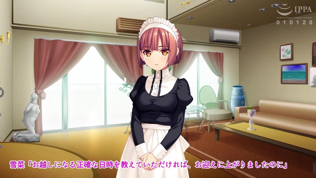 可爱的SM女仆的家族中传承的秘技第二集