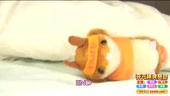 [中文](STARPARADISE)女主播秀色可餐麻仓忧