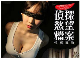 侦探慾望档案：性感猎物1990
