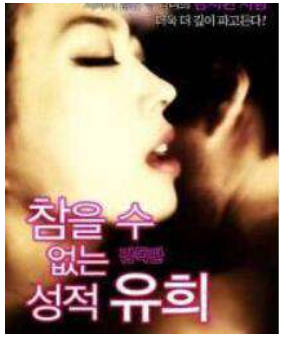 无法忍受性游戏2012