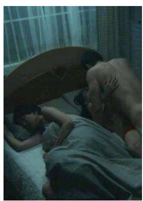 床上的侵略者2017