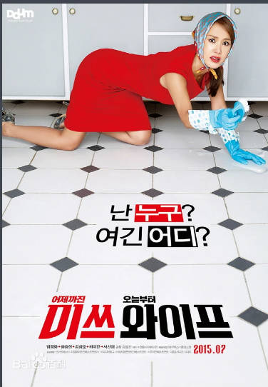 一个好律师的妻子2015