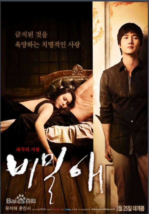 秘密爱、秘爱2009