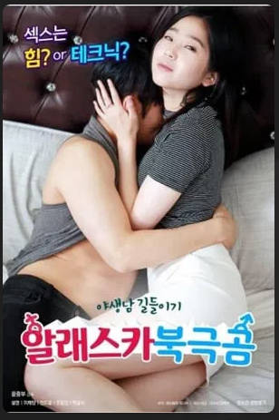 阿拉斯的北极熊2018