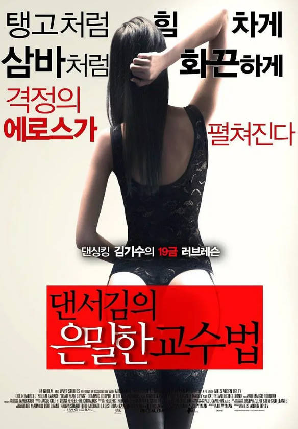 舞者的秘密教学2013